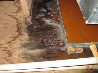 About Charleston Water Damage Restoration - 24 hour water damage restoration experts in Charleston